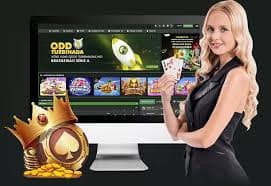 55933bet