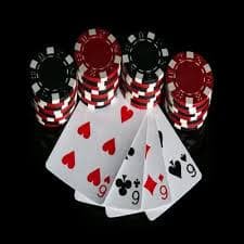 55933bet